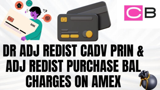 DR ADJ REDIST CADV PRIN & ADJ REDIST PURCHASE BAL CHARGES ON AMEX